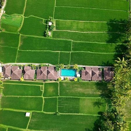 Intan Villa Moding Ubud Esterno foto