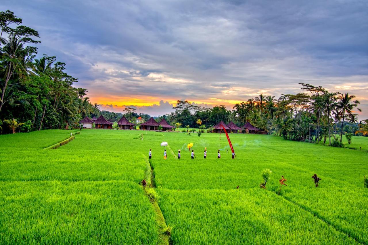 Intan Villa Moding Ubud Esterno foto