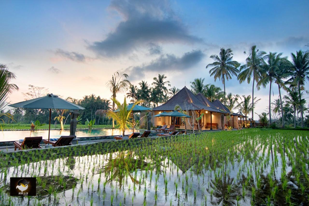 Intan Villa Moding Ubud Esterno foto