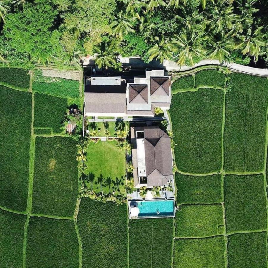Intan Villa Moding Ubud Esterno foto
