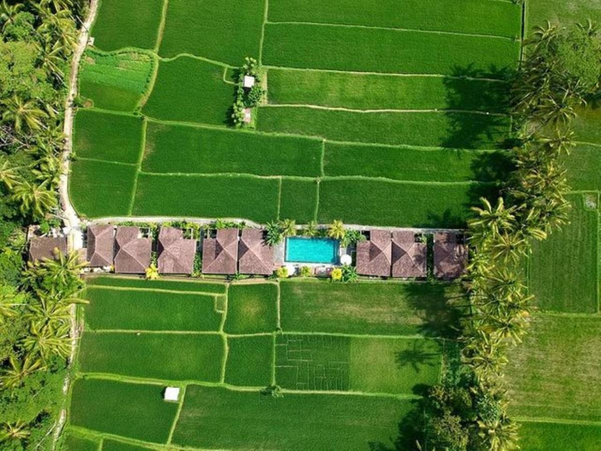 Intan Villa Moding Ubud Esterno foto